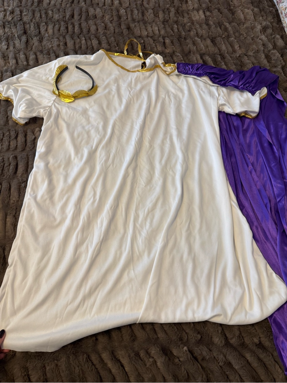 Men’s Roman Caesar Emperor Costume White Purple Gold Toga w/ Laurel Crown